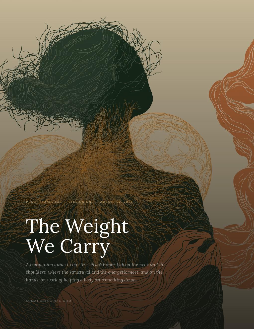 The Weight We Carry, Practitioner Lab poster